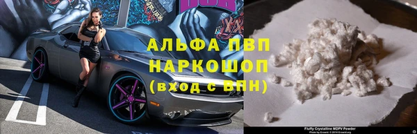 гашик Абаза