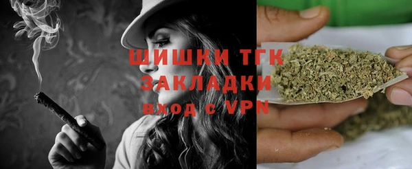 МДПВ Алексин