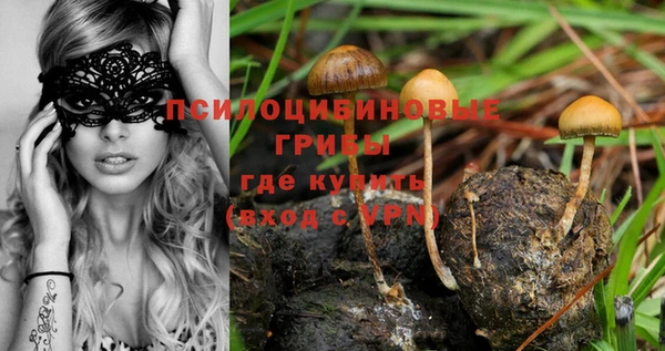 соль курить ск Абинск