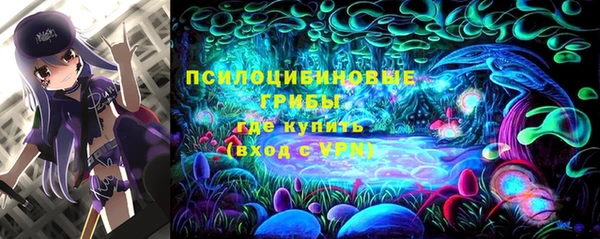 СК Алексеевка
