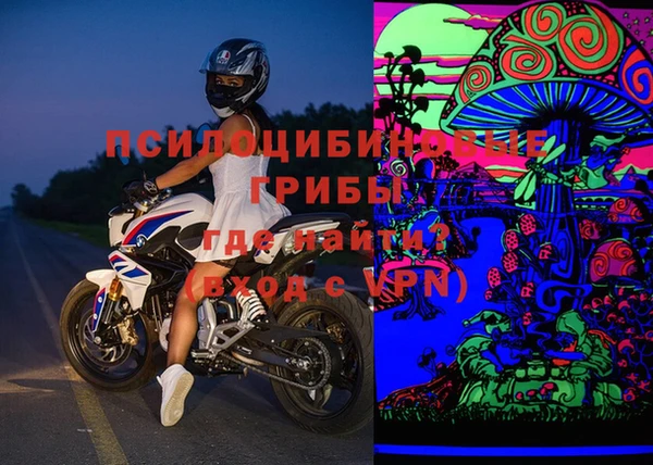 гашик Абаза