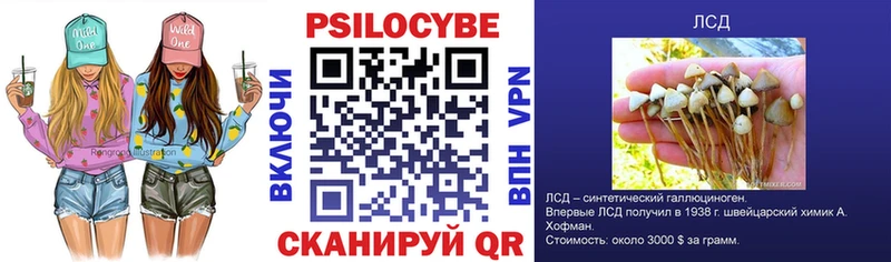 Псилоцибиновые грибы Cubensis  Задонск 