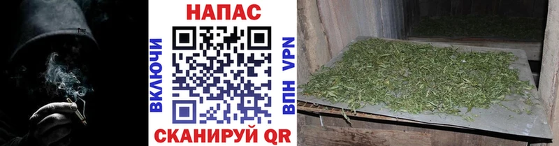 Каннабис семена  как найти закладки  Задонск 